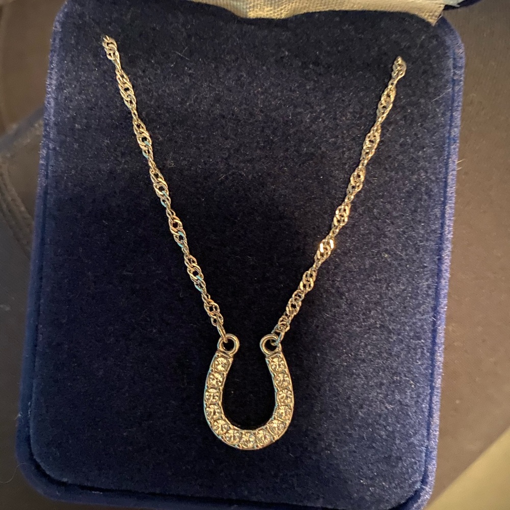 Silver Horseshoe